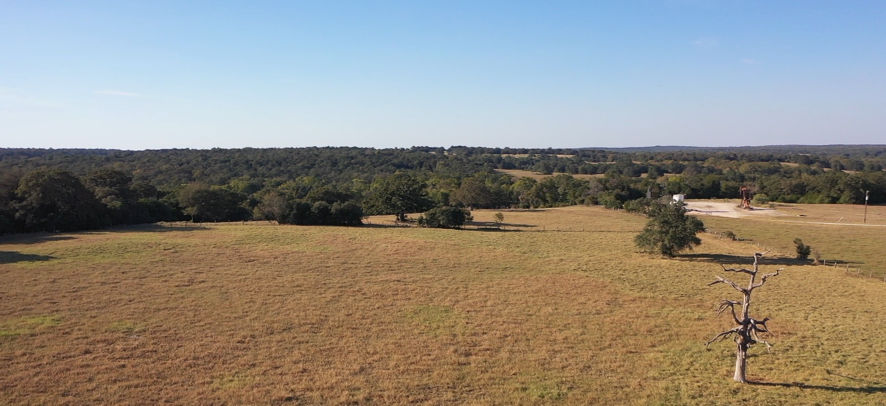 Top pasture