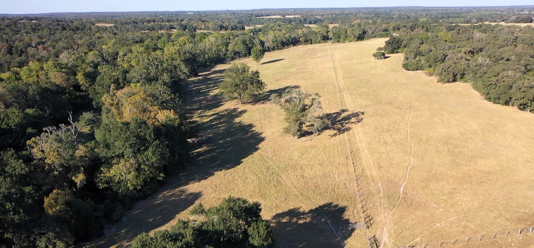 Wooded hillside