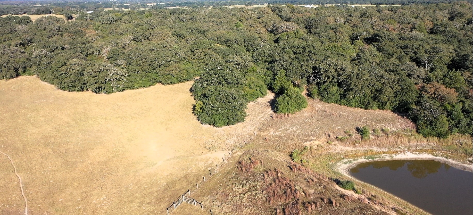 Hillside and pond